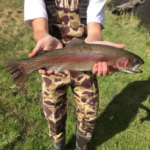 Meet your Posher, Sean